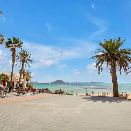 New - Amazing By The Daire Corralejo